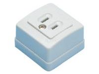 Domestic Blade Model Outlet-Exposed Outlet/2-Prong, 2-Prong + Ground Model