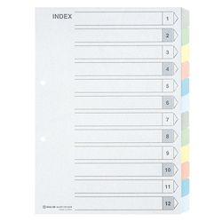 Color Index A4S 12 Tabs Type