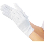 Static Electricity Prevention Gloves (10-pair set) 