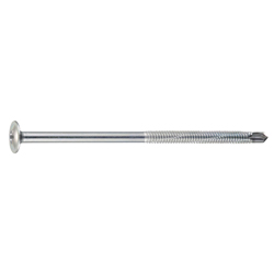 Pias Thin Washer Screw