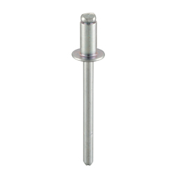 Iron-Iron Blind Rivet