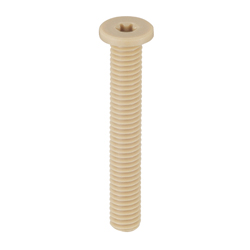PEEK (Polyetheretherketone)/Ultra Low Head Bolt with Hexalobuler Hole