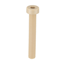 PEEK (Polyetheretherketone)/Low Head Bolt with Hexagonal Socket Head