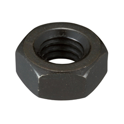 Hex Nut 2 Types Wit