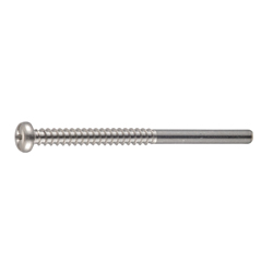 Cross/Straight-Recessed Pan Head Tapping Screw Class 2 with Guide BPR Model G=25