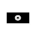 Rosette Washer (for embedding)